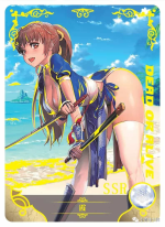 NS-02-M02-33 Kasumi | Dead or Alive
